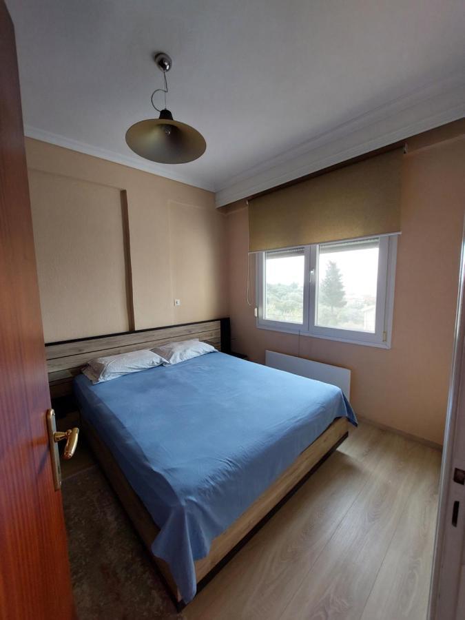 Bright View Apartment PalaiónTsiflíkion Eksteriør billede